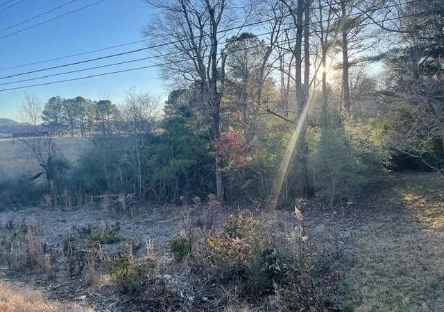 Photo 3 of Land for sale at 0 Highway 95, La Fayette, GA 30728 | MLS# 3531770 | Listing updated on 2026-09-11