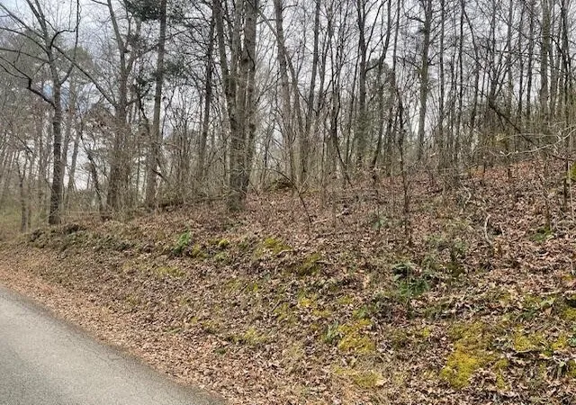 Photo 3 of Land for sale at 0 Wooten Ln, Chickamauga, GA 30707 | MLS# 3531888 | Listing updated on 2026-09-11