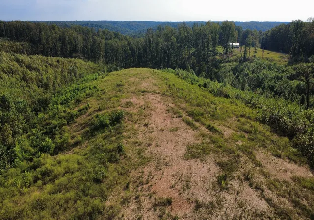 Land for sale at 1 Springer Rd, Hohenwald, TN 38462 | MLS# 3544823