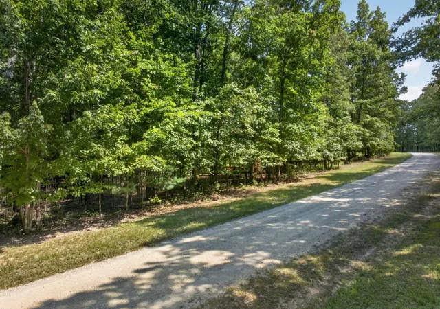 Photo 2 of Land for sale at 64 Long Branch Rd, Spencer, TN 38585 | MLS# 3541586 | Listing updated on 2026-09-15
