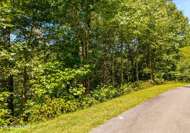 Photo 1 of Land for sale at 445 Chetola Tr, Townsend, TN 37882 | MLS# 3541601 | Listing updated on 2026-09-11