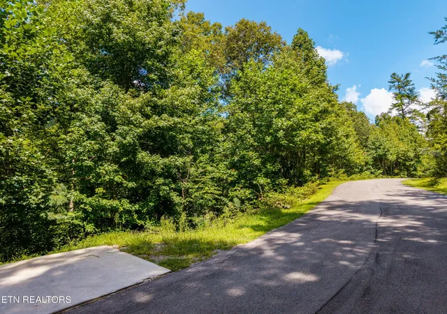 Photo 3 of Land for sale at 445 Chetola Tr, Townsend, TN 37882 | MLS# 3541601 | Listing updated on 2026-09-11