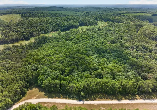 Photo 3 of Land for sale at 15 Camp Crk Rd, Spencer, TN 38585 | MLS# 3542031 | Listing updated on 2026-09-15
