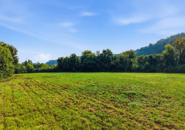 Photo 2 of Land for sale at 184 Highwater Rd, Dayton, TN 37321 | MLS# 3542421 | Listing updated on 2026-09-11