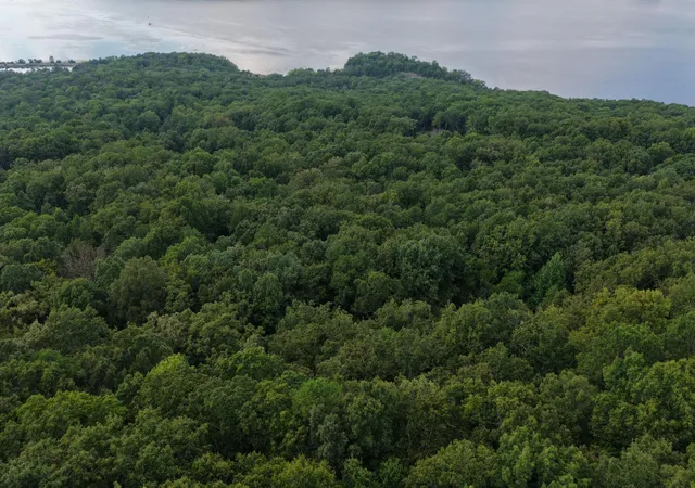 Photo 3 of Land for sale at 1 Bluff Rd, South Pittsburg, TN 37380 | MLS# 3542480 | Listing updated on 2026-09-11