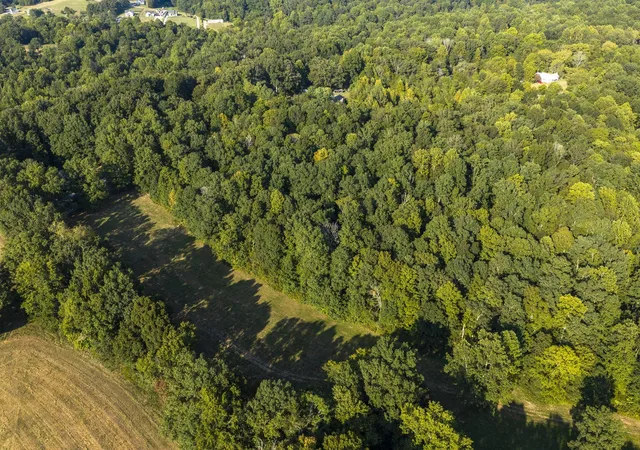 Photo 3 of Land for sale at 0 Matlock Rd, Charlotte, TN 37036 | MLS# 3543094 | Listing updated on 2026-09-11