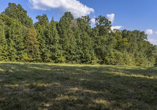 Photo 3 of Land for sale at 0 Matlock Rd, Charlotte, TN 37036 | MLS# 3543094 | Listing updated on 2026-09-11