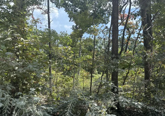 Photo 4 of Sale Pending at 37 Valley Loop, Crossville, TN 38572 | MLS# 3542711 | Listing updated on 2026-09-12