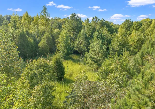 Photo 1 of Land for sale at 0 Horny Head Crk Rd, Parsons, TN 38363 | MLS# 3547052 | Listing updated on 2026-09-12
