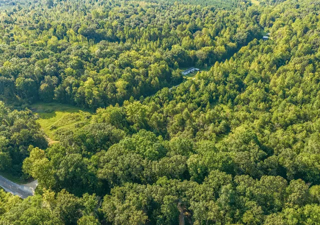 Photo 3 of Land for sale at 0 Horny Head Crk Rd, Parsons, TN 38363 | MLS# 3547052 | Listing updated on 2026-09-12