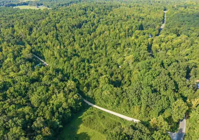 Photo 3 of Land for sale at 0 Horny Head Crk Rd, Parsons, TN 38363 | MLS# 3547052 | Listing updated on 2026-09-12