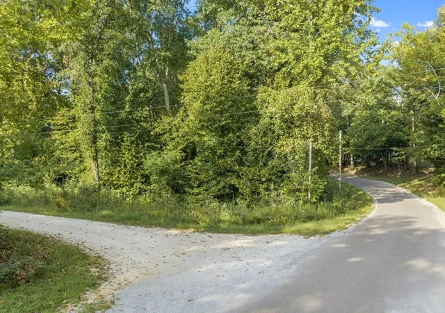 Photo 4 of Land for sale at 0 Horny Head Crk Rd, Parsons, TN 38363 | MLS# 3547052 | Listing updated on 2026-09-12