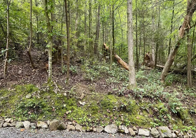 Land for sale at 28 Walden Cvs Way, Sevierville, TN 37862 | MLS# 3543136