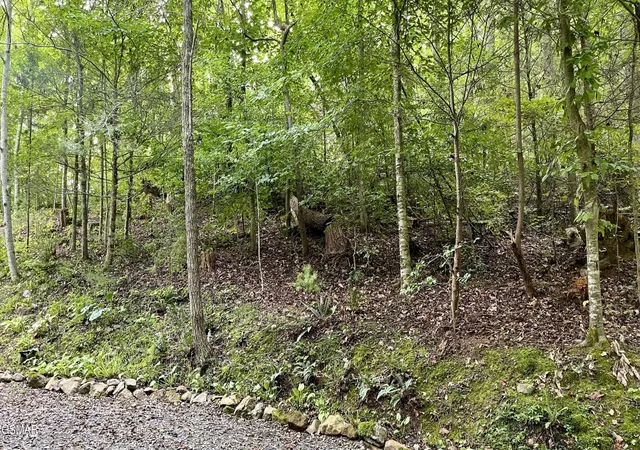 Photo 1 of Land for sale at 28 Walden Cvs Way, Sevierville, TN 37862 | MLS# 3543136 | Listing updated on 2026-09-24