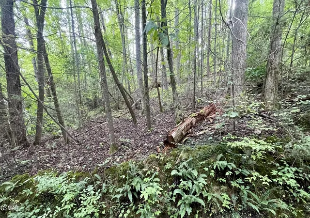 Photo 2 of Land for sale at 28 Walden Cvs Way, Sevierville, TN 37862 | MLS# 3543136 | Listing updated on 2026-09-24