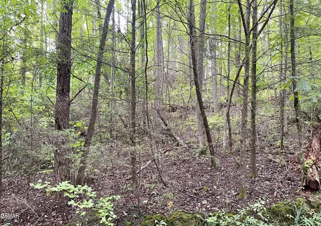 Photo 3 of Land for sale at 28 Walden Cvs Way, Sevierville, TN 37862 | MLS# 3543136 | Listing updated on 2026-09-24