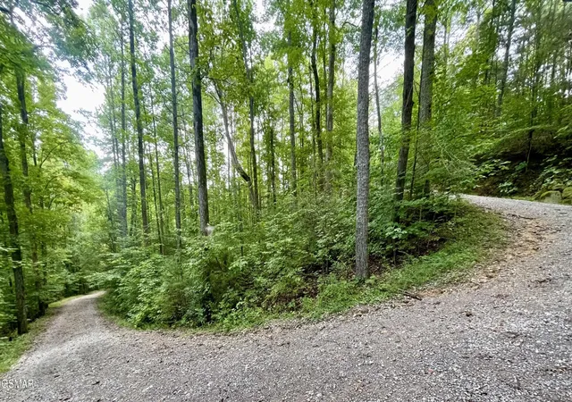 Photo 4 of Land for sale at 28 Walden Cvs Way, Sevierville, TN 37862 | MLS# 3543136 | Listing updated on 2026-09-24