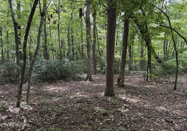 Photo 1 of Sale Pending at 6 Tanner Dr, Monterey, TN 38574 | MLS# 3543177 | Listing updated on 2026-09-09