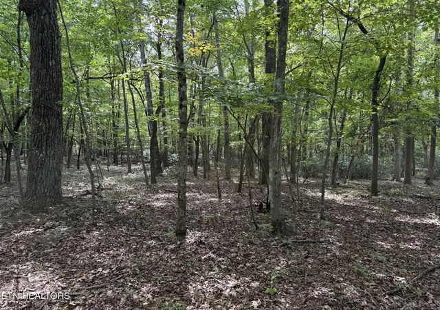 Photo 3 of Sale Pending at 6 Tanner Dr, Monterey, TN 38574 | MLS# 3543177 | Listing updated on 2026-09-09