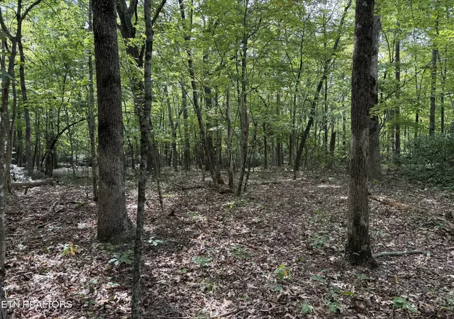 Photo 3 of Sale Pending at 6 Tanner Dr, Monterey, TN 38574 | MLS# 3543177 | Listing updated on 2026-09-09