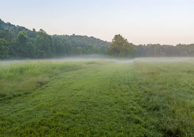 Photo 2 of Land for sale at 0 Mill Crk Rd, Nunnelly, TN 37137 | MLS# 3544786 | Listing updated on 2026-09-21