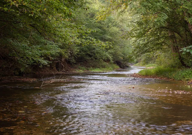 Photo 3 of Land for sale at 0 Mill Crk Rd, Nunnelly, TN 37137 | MLS# 3544786 | Listing updated on 2026-09-21