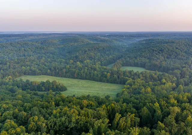 Photo 3 of Land for sale at 0 Mill Crk Rd, Nunnelly, TN 37137 | MLS# 3544786 | Listing updated on 2026-09-21