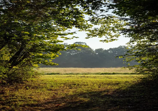 Photo 4 of Land for sale at 0 Mill Crk Rd, Nunnelly, TN 37137 | MLS# 3544786 | Listing updated on 2026-09-21