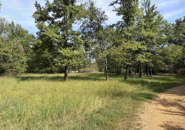 Photo 2 of Land for sale at 0 B And K Way, Adamsville, TN 38310 | MLS# 3544090 | Listing updated on 2026-09-22