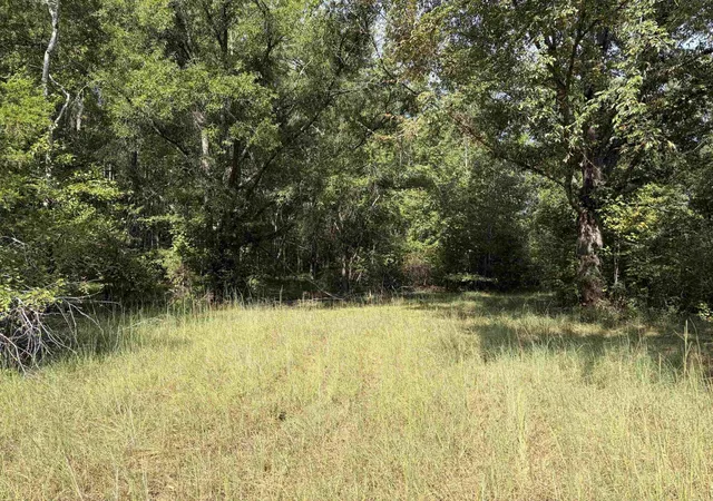 Photo 3 of Land for sale at 0 B And K Way, Adamsville, TN 38310 | MLS# 3544090 | Listing updated on 2026-09-22