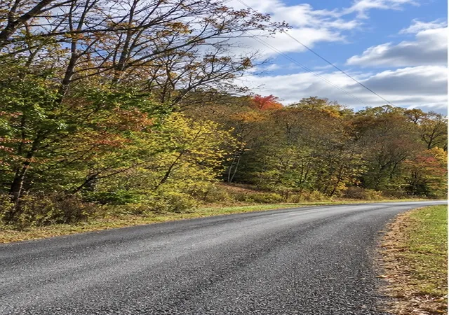 Land for sale at 0 Carpenter Rd, Dellrose, TN 38453 | MLS# 3544800 | Listing updated on 2026-09-22
