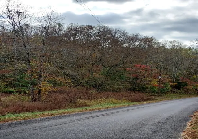 Photo 1 of Land for sale at 0 Carpenter Rd, Dellrose, TN 38453 | MLS# 3544800 | Listing updated on 2026-09-22