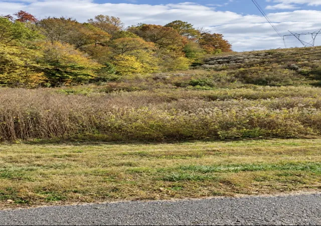 Photo 3 of Land for sale at 0 Carpenter Rd, Dellrose, TN 38453 | MLS# 3544800 | Listing updated on 2026-09-22