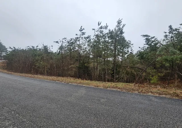 Photo 1 of Land for sale at 7594 Rockhouse Rd, Linden, TN 37096 | MLS# 3545019 | Listing updated on 2026-09-10