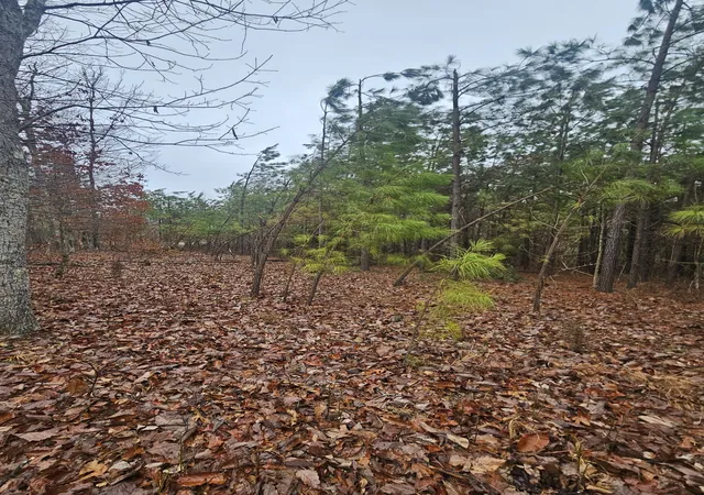 Photo 3 of Land for sale at 7594 Rockhouse Rd, Linden, TN 37096 | MLS# 3545019 | Listing updated on 2026-09-10