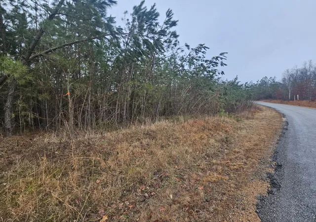 Photo 4 of Land for sale at 7594 Rockhouse Rd, Linden, TN 37096 | MLS# 3545019 | Listing updated on 2026-09-10