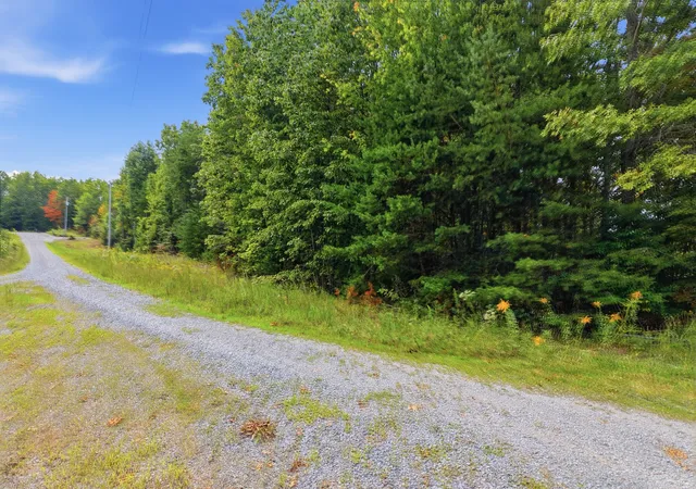 Land for sale at 335 Mockingird Ln, Wilder, TN 38589 | MLS# 3546033