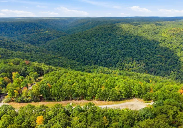 Photo 3 of Land for sale at 335 Mockingird Ln, Wilder, TN 38589 | MLS# 3546033 | Listing updated on 2026-09-10