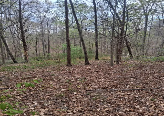 Photo 1 of Sale Pending at 0 W Garrets Crk Rd, Westmoreland, TN 37186 | MLS# 3544928 | Listing updated on 2026-09-26