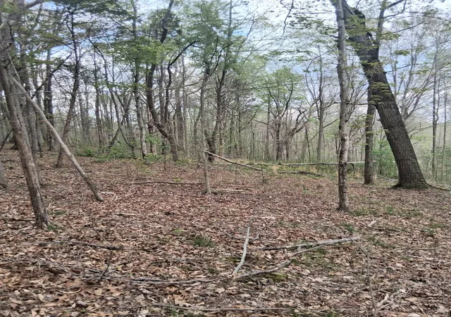 Photo 2 of Sale Pending at 0 W Garrets Crk Rd, Westmoreland, TN 37186 | MLS# 3544928 | Listing updated on 2026-09-26
