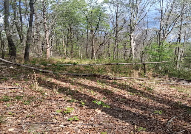 Photo 3 of Sale Pending at 0 W Garrets Crk Rd, Westmoreland, TN 37186 | MLS# 3544928 | Listing updated on 2026-09-26