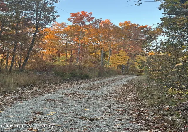Photo 3 of Land for sale at 2742 Black Mountain Rd, Tellico Plains, TN 37385 | MLS# 3545165 | Listing updated on 2026-09-11
