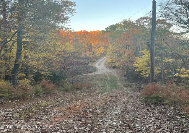 Photo 4 of Land for sale at 2742 Black Mountain Rd, Tellico Plains, TN 37385 | MLS# 3545165 | Listing updated on 2026-09-11