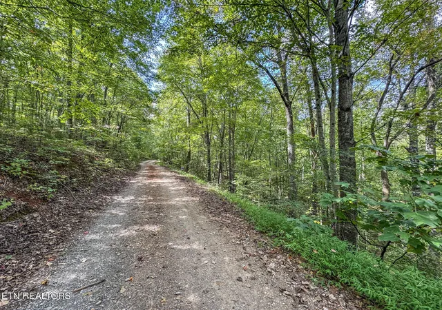 Photo 1 of Land for sale at 552 New Providence Rd, Tellico Plains, TN 37385 | MLS# 3545168 | Listing updated on 2026-09-09