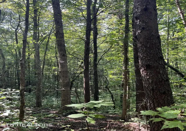 Photo 2 of Land for sale at 552 New Providence Rd, Tellico Plains, TN 37385 | MLS# 3545168 | Listing updated on 2026-09-09