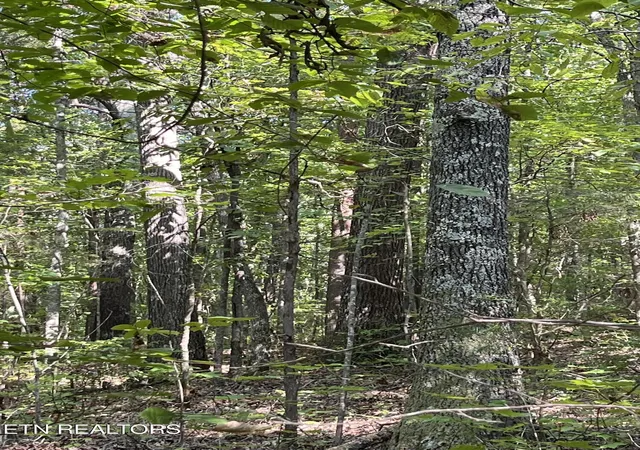 Photo 3 of Land for sale at 552 New Providence Rd, Tellico Plains, TN 37385 | MLS# 3545168 | Listing updated on 2026-09-09
