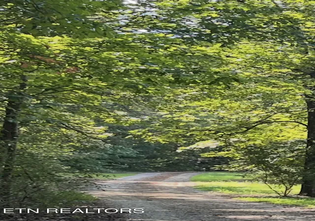 Photo 4 of Land for sale at 552 New Providence Rd, Tellico Plains, TN 37385 | MLS# 3545168 | Listing updated on 2026-09-09