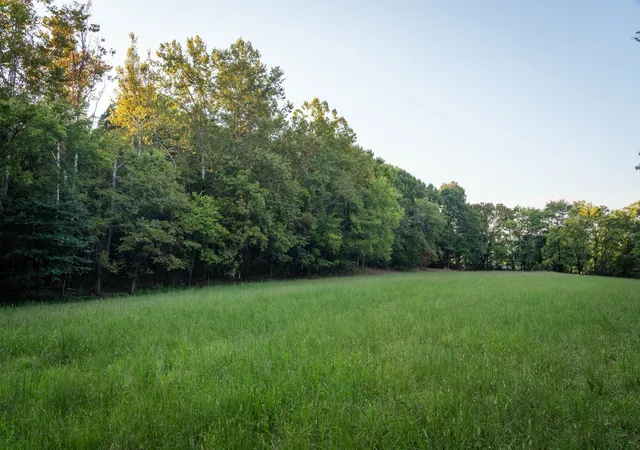 Photo 2 of Land for sale at 6807 Cross Keys Rd, College Grove, TN 37046 | MLS# 3545440 | Listing updated on 2026-09-21