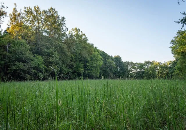 Photo 4 of Land for sale at 6807 Cross Keys Rd, College Grove, TN 37046 | MLS# 3545440 | Listing updated on 2026-09-21