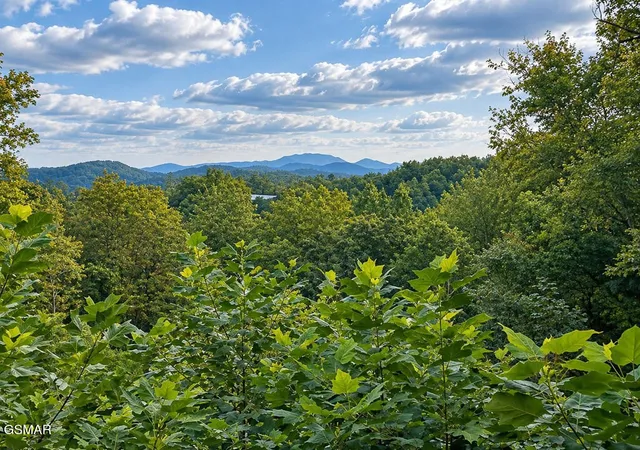 Photo 3 of Single family home for sale at 2511 Cvs Mountain Ln, Sevierville, TN 37862 | MLS# 3545037 | Listing updated on 2026-10-08